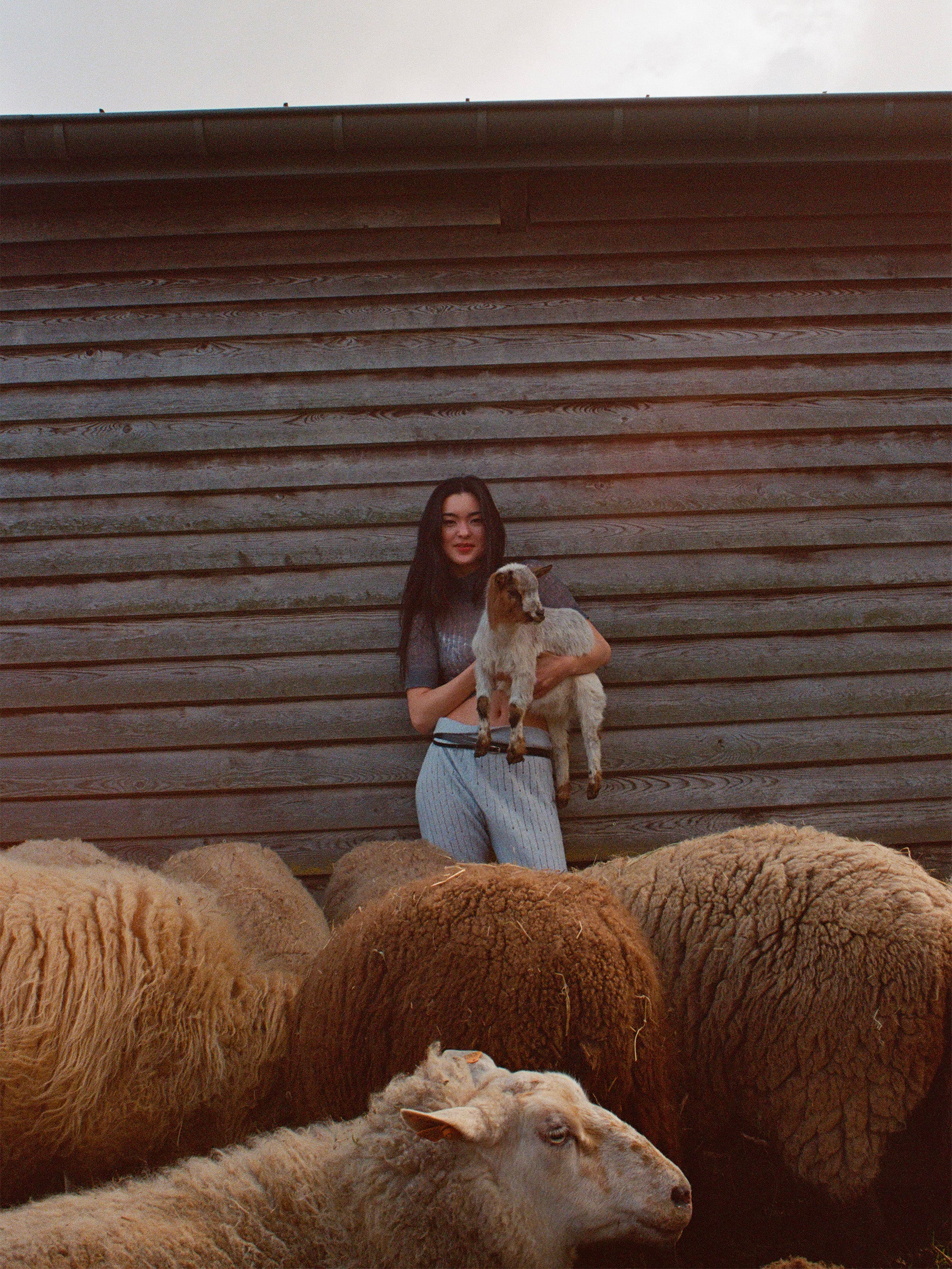 Open-Work Wool Crop Top