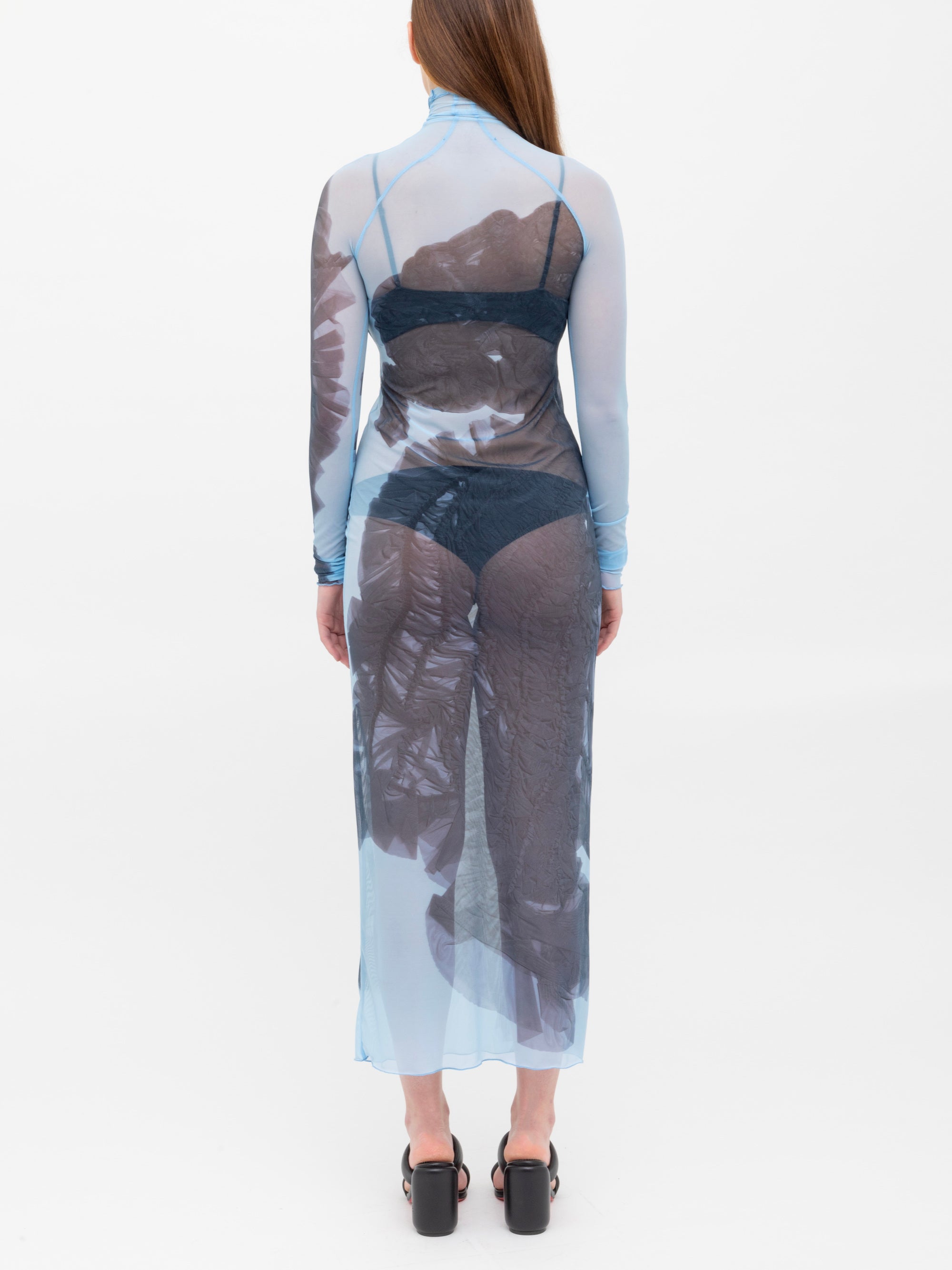 Mesh Print Long Dress