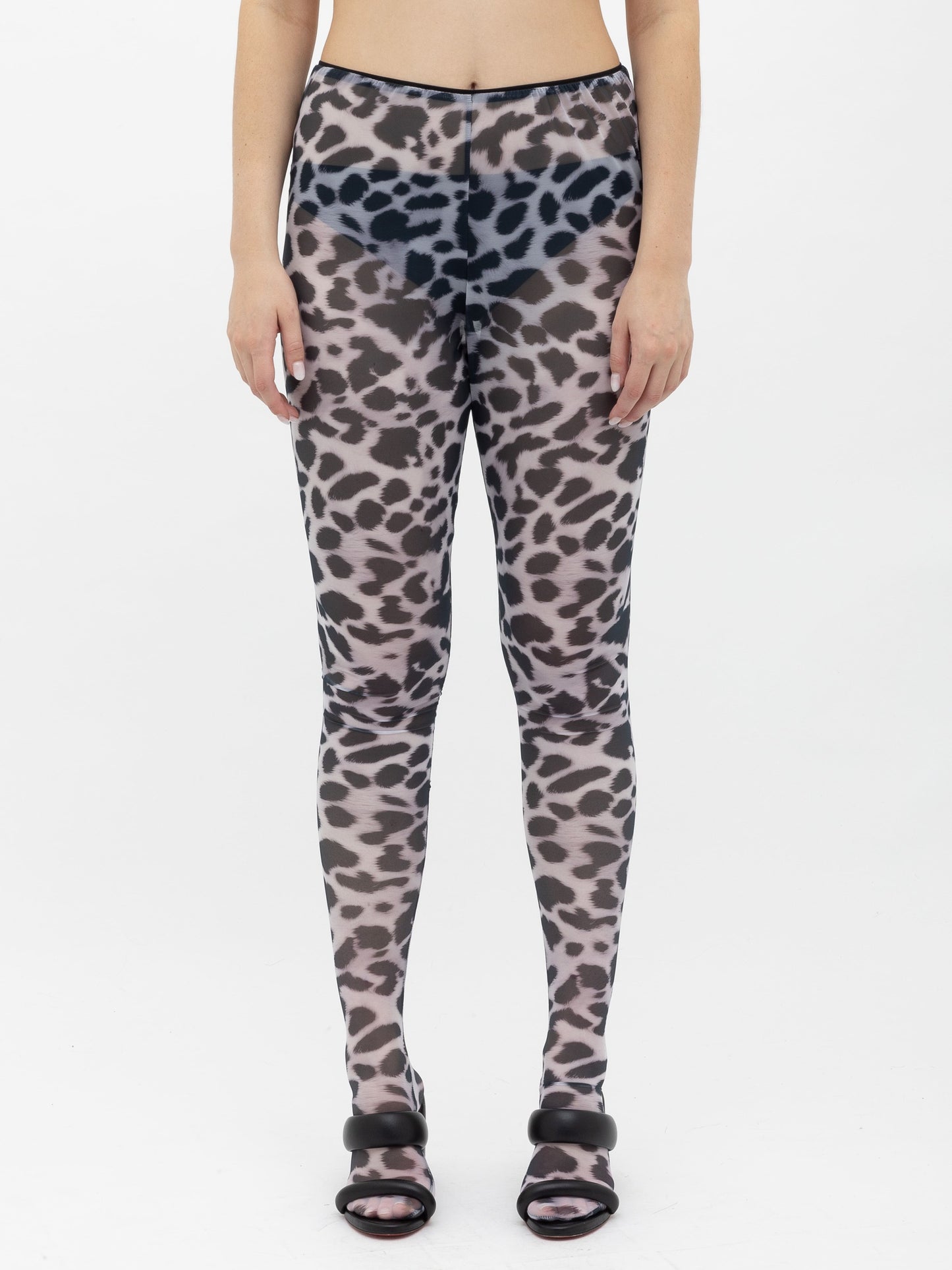 Dalmatian Printed Tights